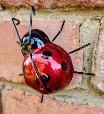 £4.95 • Buy Ladybird Metal Wall Hanger Home Garden Decor Fixing Loop 🐞 NEW 
