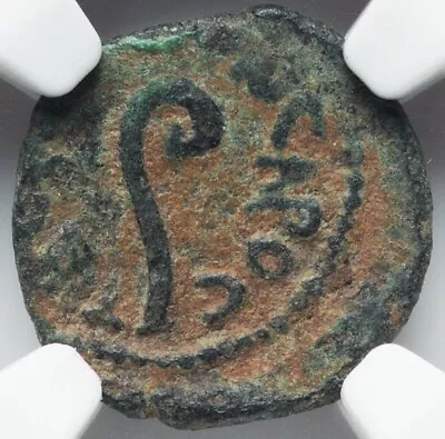 NGC VF VERY FINE Pontius Pilate Judaea Jesus Bible Coin 26-36 AD Genuine Prutah • $349.99