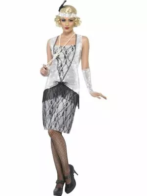 1920s Flapper Dress Womens Silver Charleston Gatsby Ladies Fancy Dress Costume • £12.26