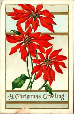 A Christmas Greeting Vintage Postcard Early 1900 Embossed Poinsettia  • $3.87