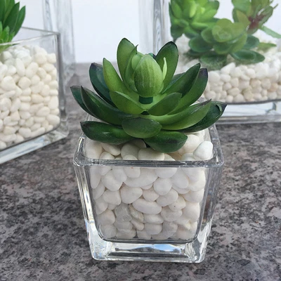 £26.59 • Buy  2 Pcs Transparent Hydroponic Containers Glass Cube Vase Mini