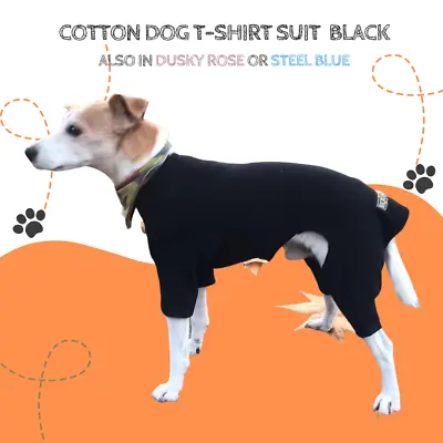 Black Cotton Dog T-shirt Suit Dog Recovery Suit By Equafleece® • £20