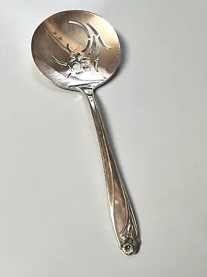 1847 Rogers Silverplate  DAFFODIL  PIERCED TOMATO SERVER No Mono • $24.50