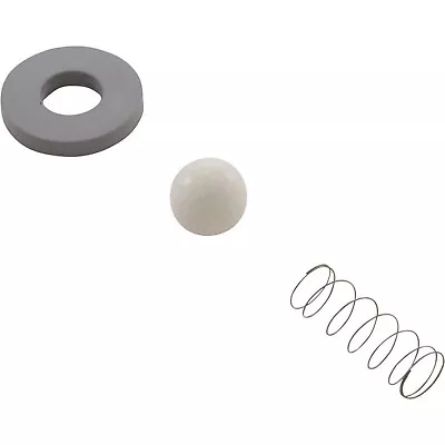 Rebuild Kit Mazzei Check Valve #978/C83P • $34.40