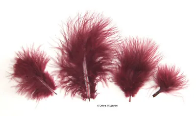 Marabou Feathers 7 Grams Small 1-3  Fluffs BURGUNDY Approx. 105 Per Bag • $2.65