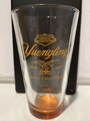 Yuengling  Brewing Company Pint Beer Glass Thirsty Orange Brew Extravaganza • $10