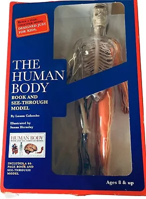 Human Body Model Kit   The Visible Woman  Vintage Revel Educational • $50