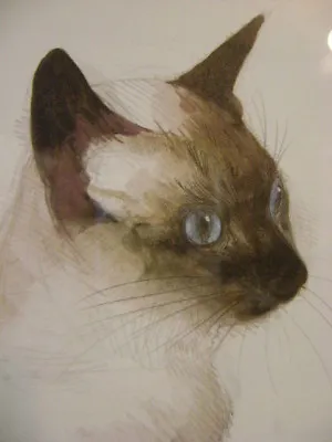 MADS STAGE SIAMESE CAT Watercolor Art Print LISTED ARTIST SIGNED W/ FRAME • $125