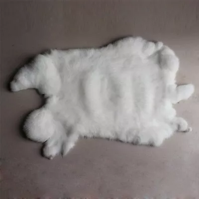 1Pcs Genuine High Grade Rabbit Skin Fur Pelt For Animal Training Crafts White • $6.64