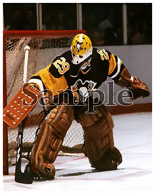 Goalie Michel Dion Pittsburgh Penguins Game Action Color 8 X 10 Photo Picture • $5.99