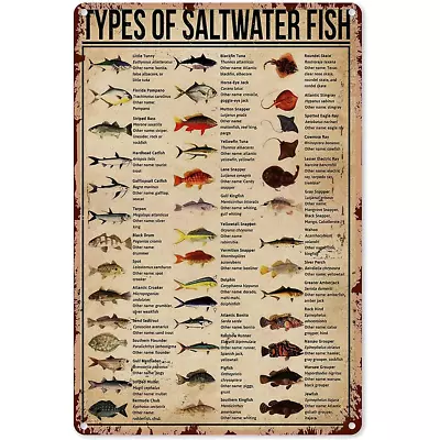 Vintage Fishing Metal Sign Types Of Saltwater Fish Knowledge Tin Sign Plaque  • $15.19