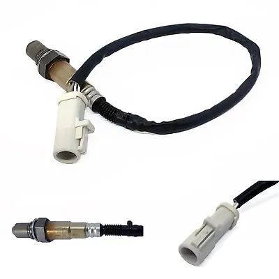 O2 Oxygen Sensor For Ford Fiesta Wp Wq Ws 1.6l 2003-2012 Duratec • $73.49