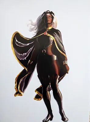 Alex Ross Timeless Covers Poster Storm X-men Marvel Legends • $19.99