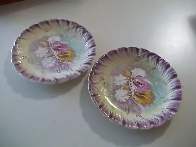 2 Pc Franzant Mehlem Bonn Germany Plates - Iris Floral Scalloped: LOVELY! • $12.95