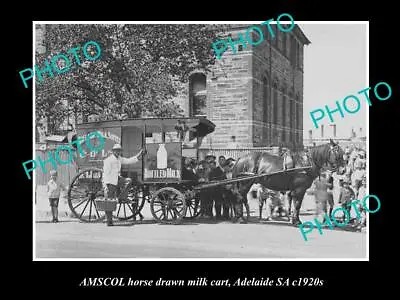 OLD HISTORIC PHOTO OF ADELAIDE SA AMSCOL MILK & DAIRY Co HORSE CART C1920s • $9.90
