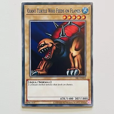 YuGiOh Card SRL-EN022 Giant Turtle Who Feeds On Flames (25th) Common (NM) 2023 • £0.99