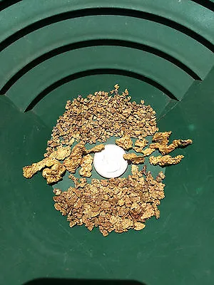 Premium LOADED Gold Paydirt Concentrates - Two Pounds! | Panning Flakes Nuggets • $31.50