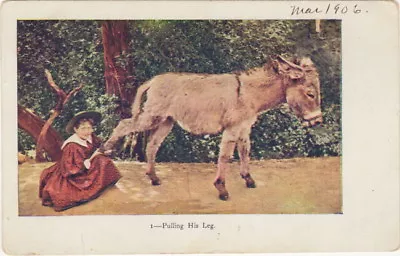 Pulling His Leg - Humorous Post Card With Donkey 1906 Antique Humorous Post Card • $9.99