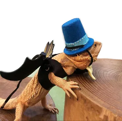 $7.59 • Buy Bearded Dragon Bowtie Hat Lizard Leash With Harness Reptiles Small Pets Animals