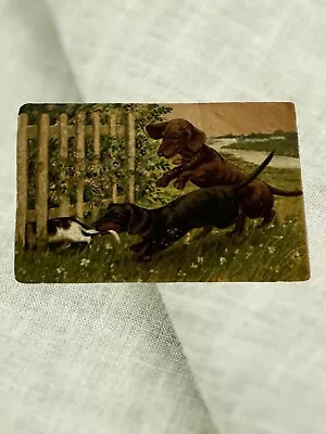 Dachshund Dogs  Playing Never Used  1900’s • $9.99