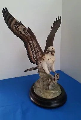Osprey Bird Of Prey Waterford Aynsley Figurine 1976 • £2500