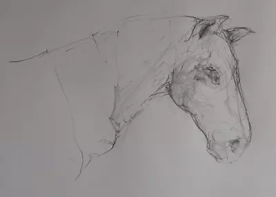 Original Pencil Drawing Of A Horse On Ivory White Medium Paper • £29.99
