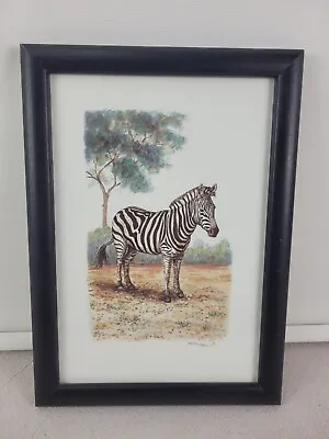 Martha Hinson Safari Zebra Africa Print Pencil Signed Framed 9  X 13  • $19.89