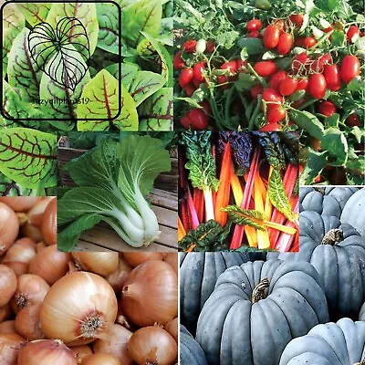 Clearance Sale. Vegetable Seeds. L - Z.  2 Packets For $2 • $2