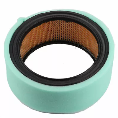 AIR FILTER For BRIGGS 4232 692519 102119 FITS OREGON 30-087 • $9.70