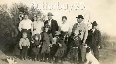 Z487 Vtg Photo FAMILY DOG FAMILY CAT THE WHOLE BUNCH C Early 1900's • $5.50