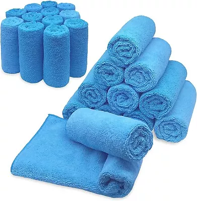 Microfiber Cleaning Cloth Set Of 24 Towel Rag Car Polishing Detailing No-Scratch • $23.87