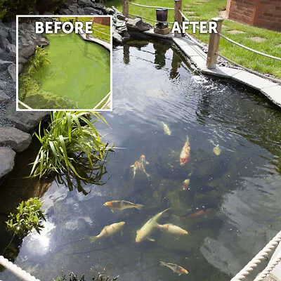 £14.99 • Buy Blooming Fast Pond Clear Pro 2 Step Pack - Small Treats Up To 10,000L