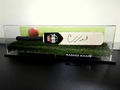 $199.99 • Buy ✺Signed✺ RASHID KHAN Cricket Mini Bat PROOF COA Adelaide Strikers BBL 2022 Shirt