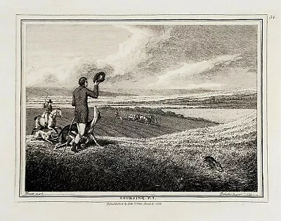 OLD ANTIQUE PRINT HARE COURSING By SAMUEL HOWITT C1812 ENGRAVING GREYHOUNDS • £30.49