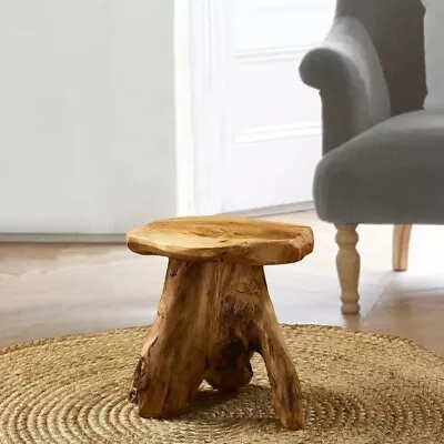 Cedar Root Natural Stool Mushroom Reclaimed Hard Side Table Stand Foot Wood End • $76.58