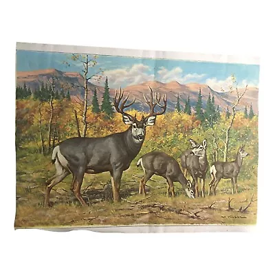 Beautiful Painting Of Four Deer In Nature 24”x18” • $21.94