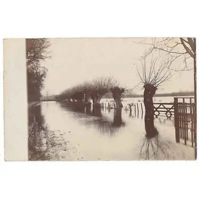 WALTON ON THAMES The 1908 Floods RP Postcard Postmark Walton On Thames 1908 • £9.99