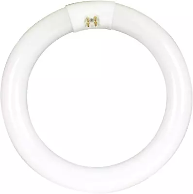 8-Inch 15 Watt LED Circular Tube T9 Replacement Cool White 4100K G10Q Base P • $23.05