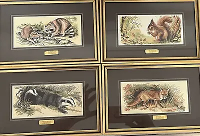 £150 • Buy J&J Cash Ltd Coventry England Silk Woven Pictures Raccoon, Fox, Squirrel,badger