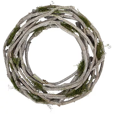 Northlight 14  White Twig And Green Moss Artificial Spring Wreath • $25.19