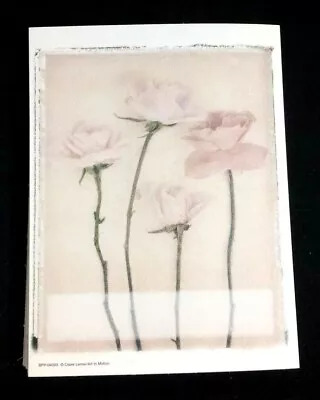 Rose Quartet 50 Self-adhesive BOOKPLATES Vtg Antioch Publishing Claire Lerner • $12.95