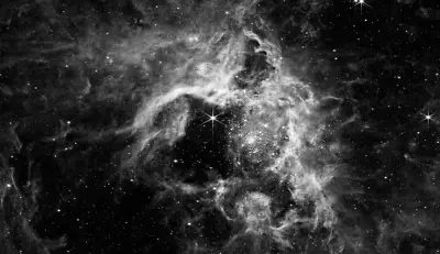 Tarantula Nebula James Webb Space Telescope Stars Space Photo Art Print B&W • $12.95