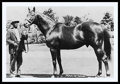 Vintage Man O War W Beloved Groom Will Harbut 11x14 Double Matted 8x12 Print • $39