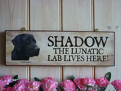 Funny Wooden Sign Outdoor Sign House Sign Personalised Labrador Gift Dog Gifts • £14.80