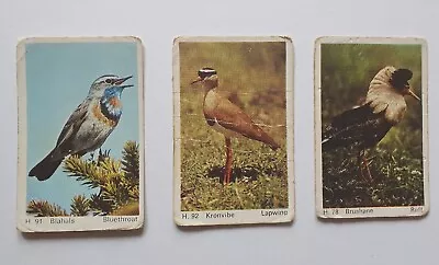 9 Trade Cards Dandy Gum Wild Animals. H91 H92 H78 H93H89H79 H22 H28 H7 • £4