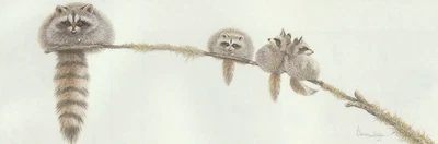 £78.26 • Buy Print By Artist Warwick Higgs - The Bandits - Product Code: FAR 673