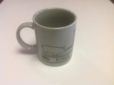 $7.99 • Buy Iowa Farm Pigs Coffee Mug Yorkshire Saddleback