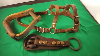 Vintage Horse Riding Equestrian  Leather Halter Stirrup & Strap.  DECOR !!! • $25