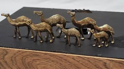 $24.31 • Buy Vintage Brass Camel Decorative Figurine Figure Statue, Set Of 7 - 1.75  - 2.5 T