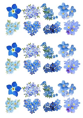 24 Mixed Forget Me Not Blue Flower Edible Wafer Paper Cake Toppers Decoration • £2.49